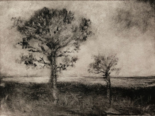 Camp Hero Trees, 2014