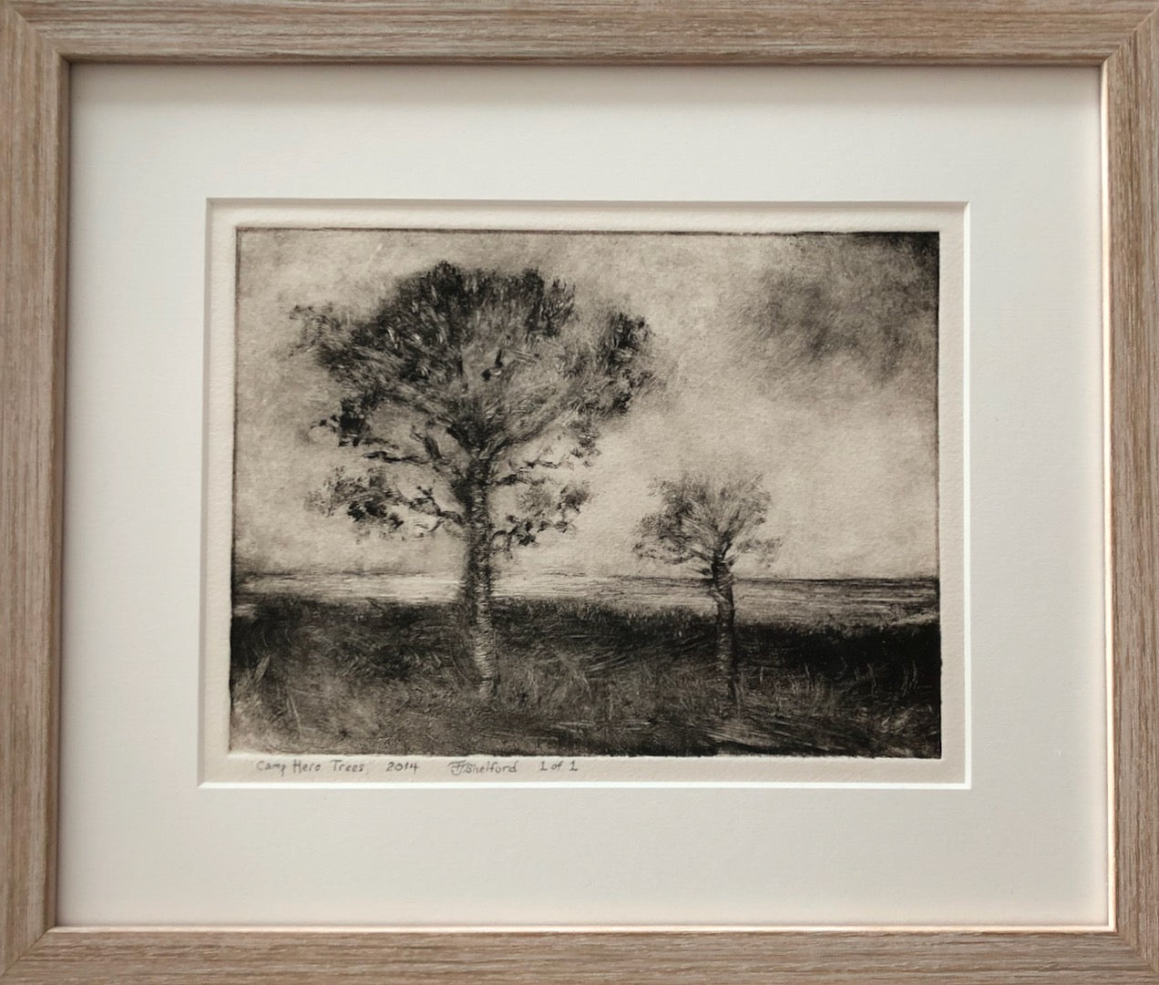 Camp Hero Trees, 2014